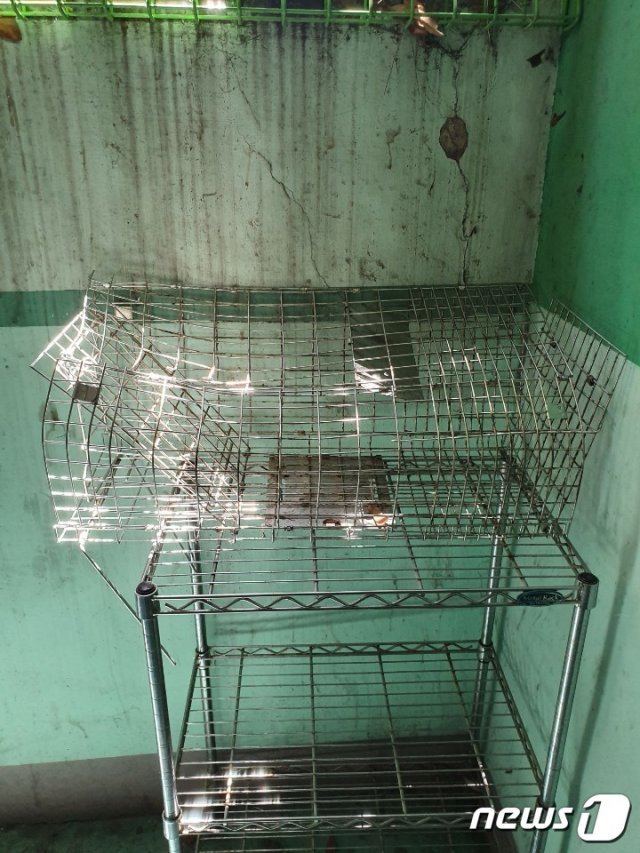 부산 해운대 센텀시티 한 아파트서 발견된 불법포획틀.(동물자유연대 제공)© 뉴스1