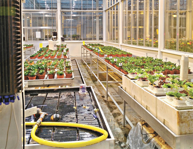 네덜란드 ‘월드호티센터’ 내부 연구시설에서는 다양한 작물을 키우며 재배기술을 연구한다. 이곳을 모델로 한 스마트팜 혁신밸리가 전국 4곳에 조성된다. 한국농촌경제연구원 이명기 연구위원 제공