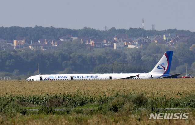 옥수수 밭에 비상 착륙한 러시아 여객기 에어버스 A321. 사진=뉴시스