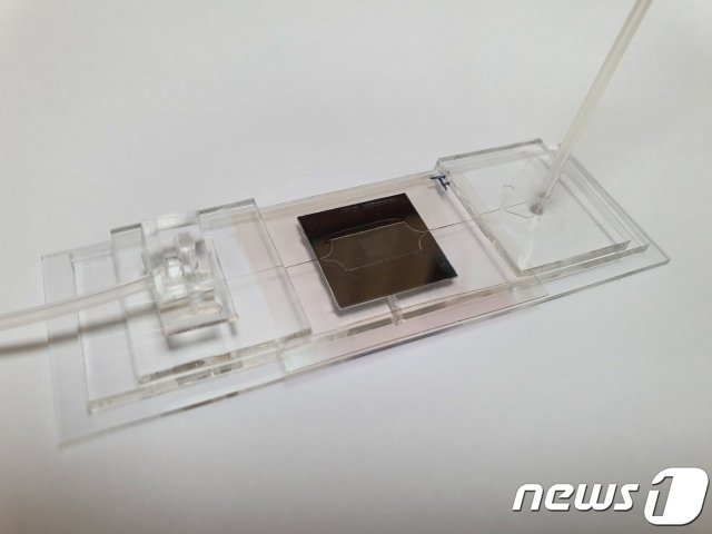 사진 1. 인공세포막 재료가 코팅된 수만개의 홀 어레이를 포함하는 실리콘 칩© 뉴스1