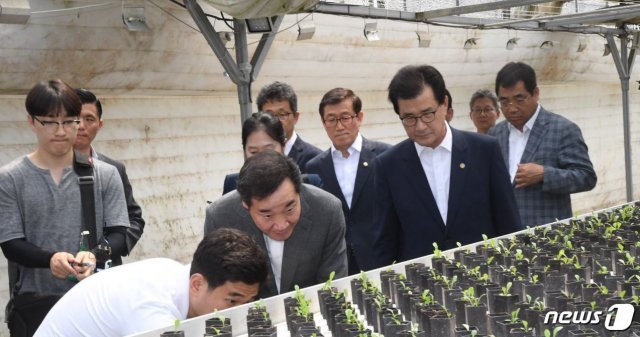 이낙연 총리가 만나CEA를 방문해 양어수경 재배방식을 살펴보고 있다.(이 총리 SNS)