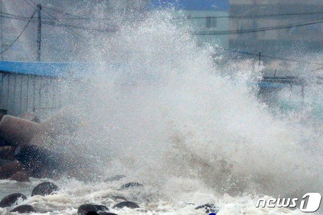 제10호 태풍 크로사의 간접 영향을 받고 있는 15일 오전 경북 포항시 북구 환여동 해안에 집체만한 파도가 밀려들고 있다. 2019.8.15/뉴스1 © News1