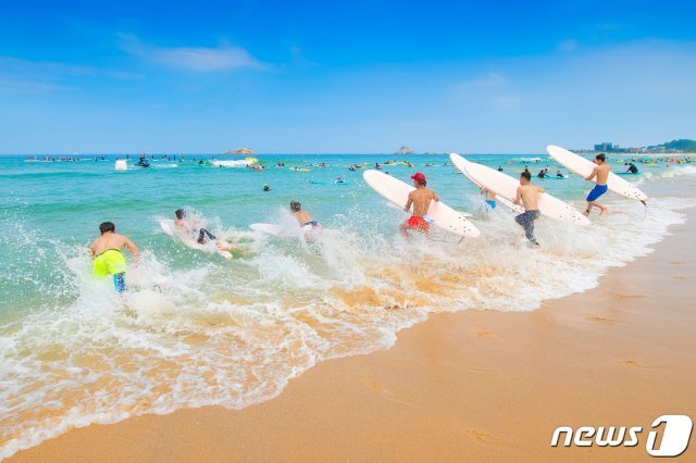 강원도 고성군 죽왕면 삼포해변에서 열린 ‘미드나잇 피크닉 페스티벌’ 서핑축제에서 서퍼들이 바다로 뛰어들고 있다. (고성군 제공) 2019.7.13/뉴스1 © News1