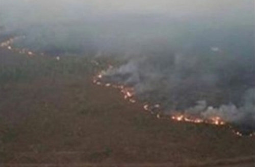 브라질 아마존 열대우림에서 발생한 산불이 3주째 지속되고 있다. 브라질 기상당국은 올 들어 기상관측 이래 가장 많은 7만2843건의 화재가 발생했다고 경고했다. 사진 출처 인스타그램