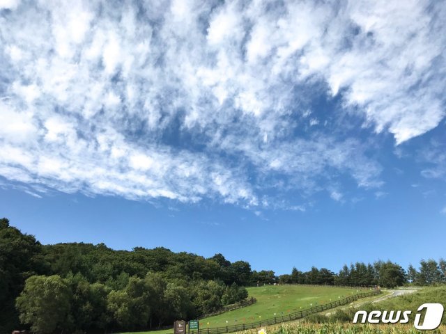절기상 처서인 23일 강원도 평창 삼양목장 위로 푸른 하늘이 펼쳐져 있다. © News1