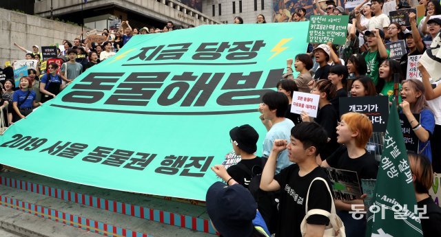 동물권단체 동물해방물결이 25일 오후 서울 세종문화회관 중앙계단에서 모든 동물의 해방을 외치는 ‘2019 서울 동물권집회’를 열고 있다.