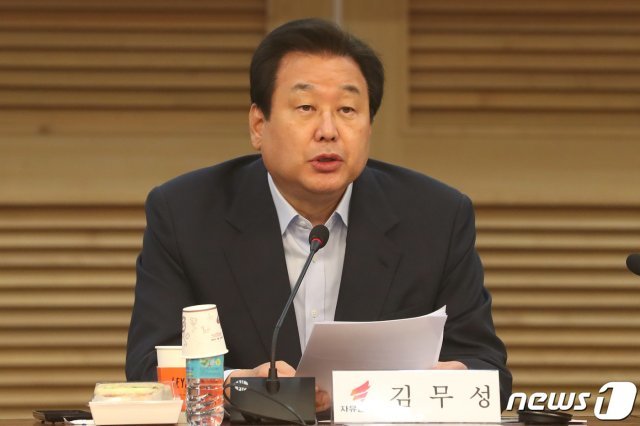 김무성 자유한국당 의원/뉴스1 © News1