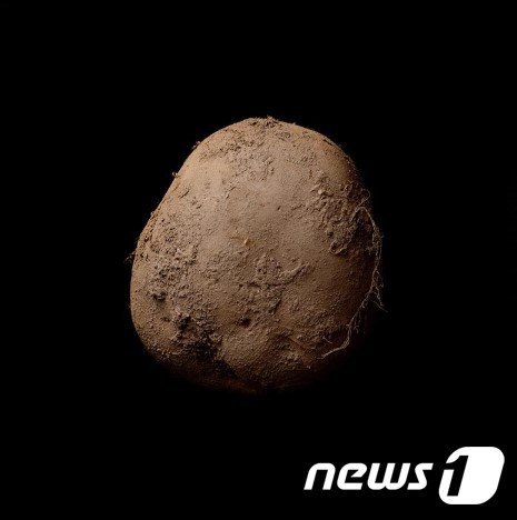 케빈 아보쉬의 2010년 작품 ‘감자’ (Potato #345) (케빈 아보쉬 홈페이지 갈무리) © 뉴스1
