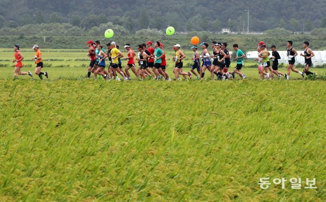참가자들이 초가을 흥취를 느끼며 금강 들녘을 달리고 있습니다. 양회성 기자 yohan@donga.com