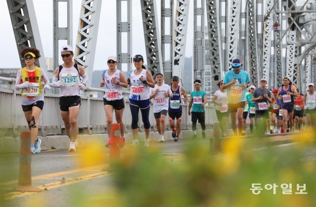앞으로 다가올 서울달리기대회와 경주국제마라톤도  참가해 보면 어떨까요?