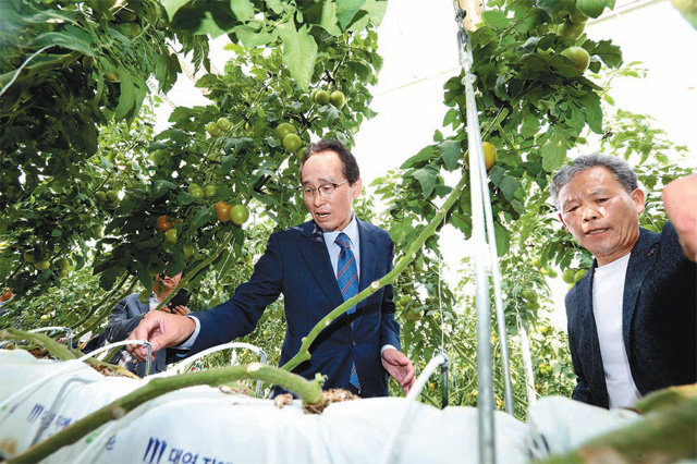 송하진 전북도지사가 정보통신기술(ICT) 융복합 스마트 기술로 토마토를 재배하는 장수군의 한 시설온실을 찾아 농민에게서 현장의 어려움에 대한 의견을 듣고 있다. 전북도 제공