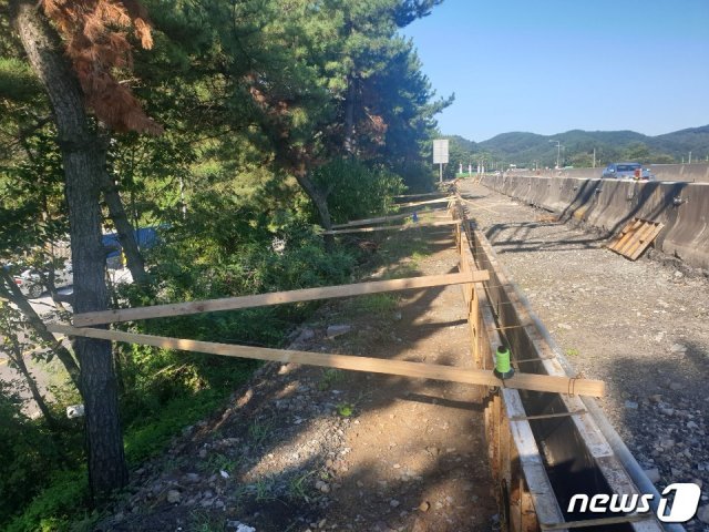 한국도로공사 진주지사에서 졸음쉼터 개량 공사를 하면서 소나무 30여그루를 훼손해 물의를 빚고 있다. © 뉴스1