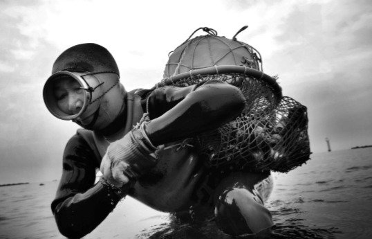 제주 해녀의 모습.(서울-제주균형발전위원회, 양종훈 상명대 교수 제공)