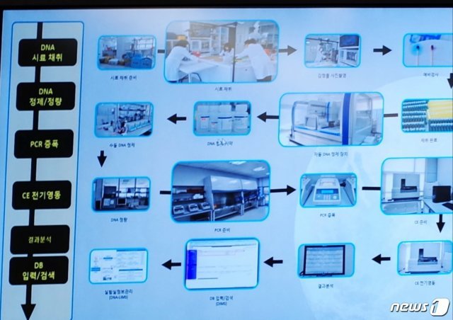 국립과학수사연구원 DNA 분석 절차 © 뉴스1