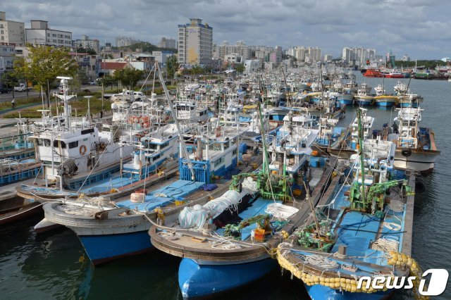 제17호 태풍 타파가 북상 중인 20일 오후 경북 포항시 북구 동빈내항에 피항 온 선박들로 가득차 있다. 2019.9.20/뉴스1 © News1
