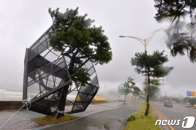 북상 중인 제17호 태풍 타파 간접영향권에 들어간 22일 경북 포항시 전역에 비바람이 몰아치고 있다. 남구 송도해수욕장 해안도로 가로수에 강풍에 날아온 대형 철 구조물이 위태롭게 걸려있다. © News1