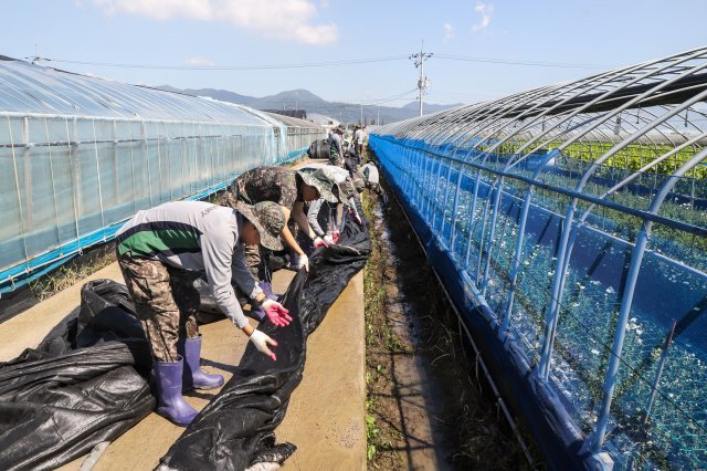 사진제공 육군제53사단