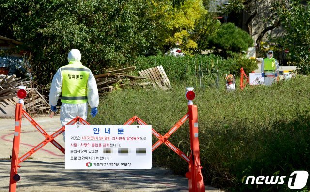 보건환경연구원 강화방역지원청은 송해면 신당리의 한 돼지농가에서 아프리카 돼지열병 의심축이 발생됐다고 24일 밝혔다. 의심축이 발생하자 방역 당국이 출입을 통제하고 있다.해당농가 3km주변엔 다른 돼지농가는 없는 것으로 알려졌으며, 이 농가에선 돼지 340두가 사육되고 있다. © News1