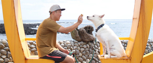 반려동물 여행 앱 ‘엔터독’에 소개된 강아지와 함께한 제주도 여행. 여름망고네집 작가 제공