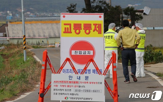 27일 오후 국내에서 9번째로 아프리카 돼지열병(ASF) 확진판정을 받은 인천 강화군 하점면의 한 농장에서 방역 관계자들이 현장 주변을 통제하고 있다. © News1