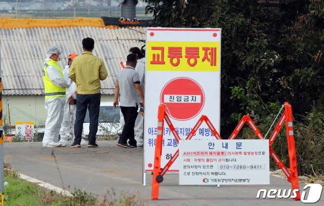 27일 오후 국내에서 9번째로 아프리카 돼지열병(ASF) 확진판정을 받은 인천 강화군 하점면의 한 농장에서 방역 관계자들이 현장 주변을 통제하고 있다. 2019.9.27/뉴스1 © News1