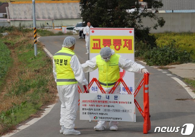 27일 오후 국내에서 9번째로 아프리카 돼지열병(ASF) 확진판정을 받은 인천 강화군 하점면의 한 농장에서 방역 관계자들이 현장 주변을 통제하고 있다. © News1