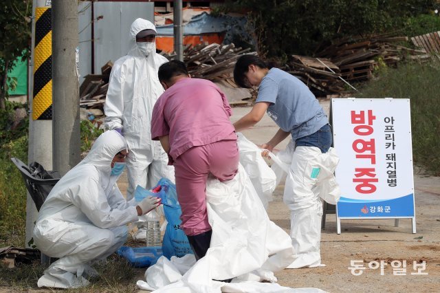 국내 다섯 번째로 아프리카돼지열병 확진 판정을 받아 출입이 금지된 강화군 송해면 양돈농장에서 25일 오후 작업을 마친 수의사가 외부로 나오며 소독을 받고 있다. 양회성 기자 yohan@donga.com