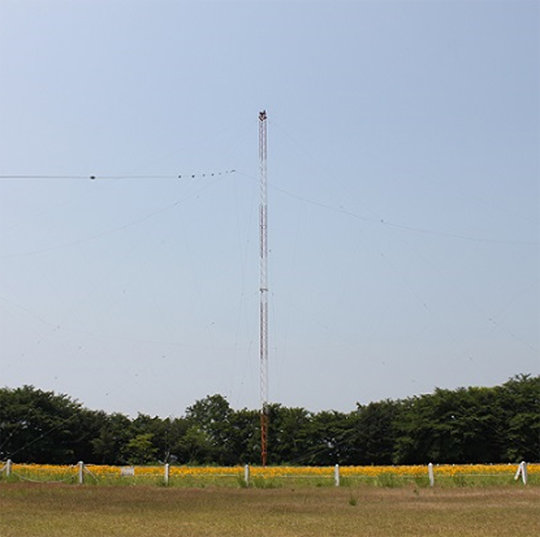 한국표준과학연구원 내에 있는 시보탑은 24시간 단파로 방송하고 있다. 직진성이 강한 단파는 장애물을 통과하지 못하는 한계가 있다. 한국표준과학연구원 제공