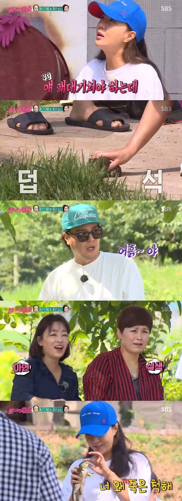 SBS ‘불타는 청춘’ 캡처