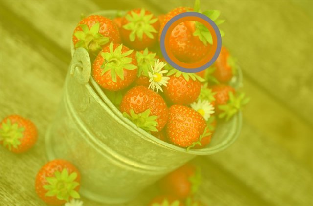 딸기의 사진 속 색상은 주황색에 가깝지만, 우리는 이를 빨간색으로 인식한다