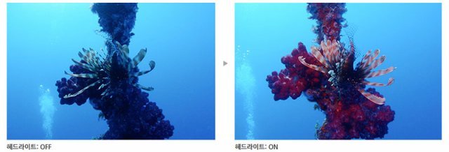 수중 촬영에서 조명은 실제 색상과 가장 가까운 사진을 얻을 수 있는 방법이다