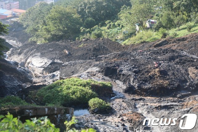 지난 3일 부산 사하구의 한 야산에서 발생한 산사태로 골짜기가 잿빛으로 변했다.2019.10.04./© 뉴스1