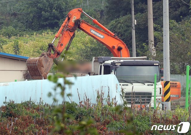 4일 경기도 파주의 아프리카돼지열병(ASF) 발생 양돈농장에서 방역당국이 포클레인과 덤프트럭을 동원해 돼지 살처분 작업을 하고 있다. 2019.10.4/뉴스1 © News1