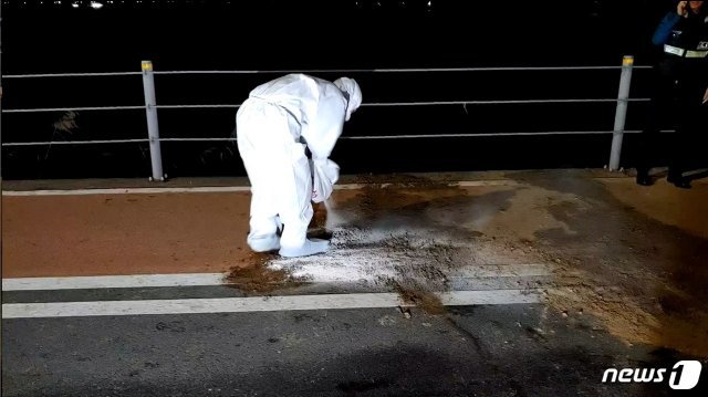 11일 오후 멧돼지가 발견된 서울 가양대교 남단 산책로 인근에서 소독작업이 이뤄지고 있다.(소방당국 제공) © 뉴스1