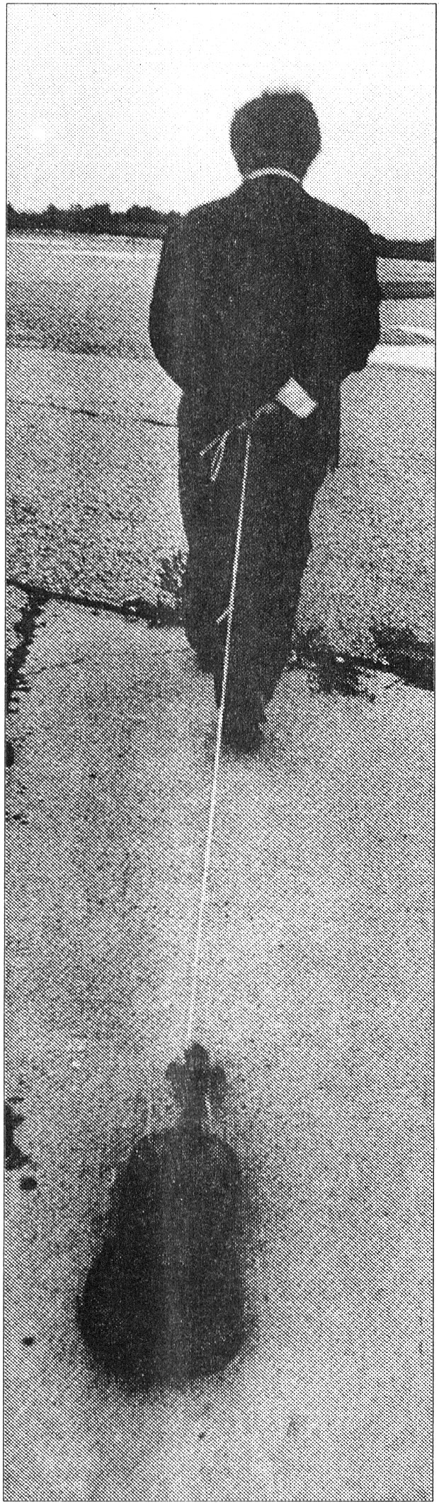 1975년‘백남준에게 끌려가는 바이올린’

동아일보 자료사진