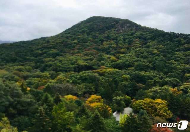 충북을 대표하는 산인 제천 월악산과 보은 속리산에 18일 올해 첫 단풍이 들었다. (청주기상지청 제공) © 뉴스1