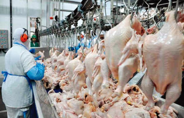 브라질 닭가공 공장의 한 직원이 중국으로 수출할 닭고기들을 손질하고 있다. [브라질 모니터]