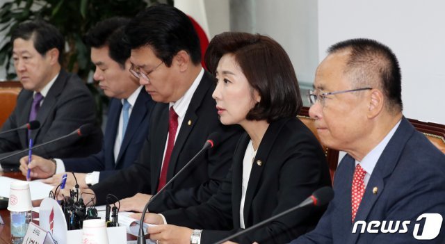나경원 자유한국당 원내대표가 23일 서울 여의도 국회에서 열린 중진의원 연석회의에서 모두발언을 하고 있다. 2019.10.23/뉴스1 © News1