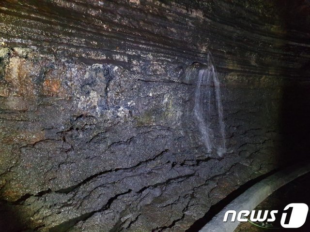 세계자연유산 제주 만장굴 벽면에서 빗물이 유출되고 있다.(제주도 제공) /© 뉴스1