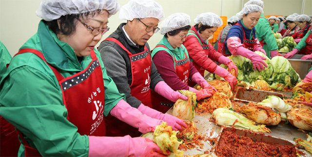 충북 괴산군은 다음 달 8∼10일 지역 대표 농특산물인 절임배추를 이용한 ‘괴산김장축제’를 올해 처음 개최한다. 괴산군 제공