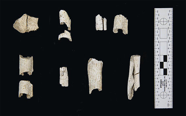 한성 백제의 왕실 묘역인 서울 석촌동 고분군에서 수습된 인골(人骨) 가운데 일부. 화장한 뒤 잘게 부순 것으로 제사유물과 함께 고운 점토에 덮인 상태로 출토했다. 백제 왕실에 화장 문화가 있었음을 보여준다. 한성백제박물관 제공