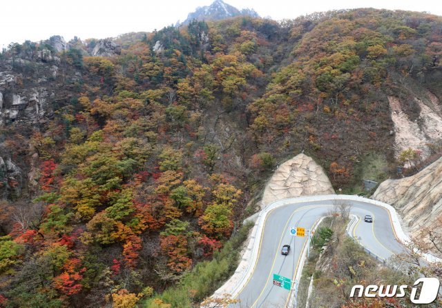 17일 강원도 양양군 서면 오색리에서 인제군 북면 한계삼거리를 잇는 44번 국도 한계령 구간이 단풍으로 물들면서 절경을 연출하고 있다. © News1