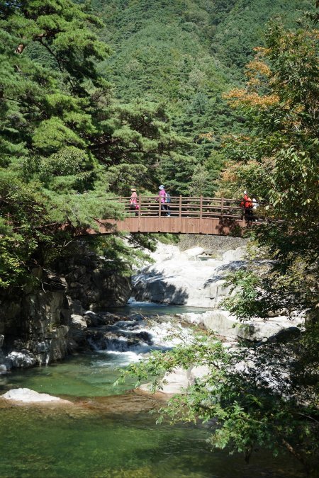 홍류동은 가야산 국립공원에서 해인사입구까지 이르는 4km 계곡으로 가을 단풍을 감상하기 좋은 곳이다.