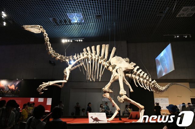 2019년 일본 공룡엑스포에서 공개된 데이노케이루스(이융남 서울대 교수 제공)© 뉴스1