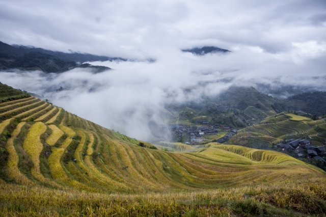 사진 제공=김종세 한국 카메라 박물관 관장