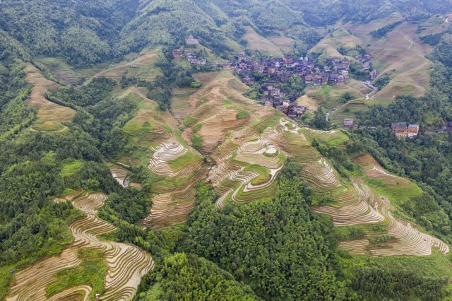사진 제공=김종세 한국 카메라 박물관 관장