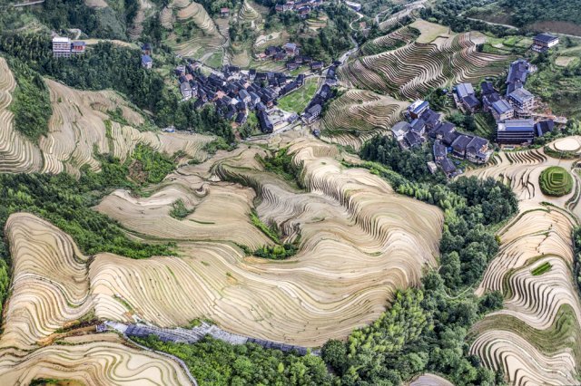 사진 제공=김종세 한국 카메라 박물관 관장