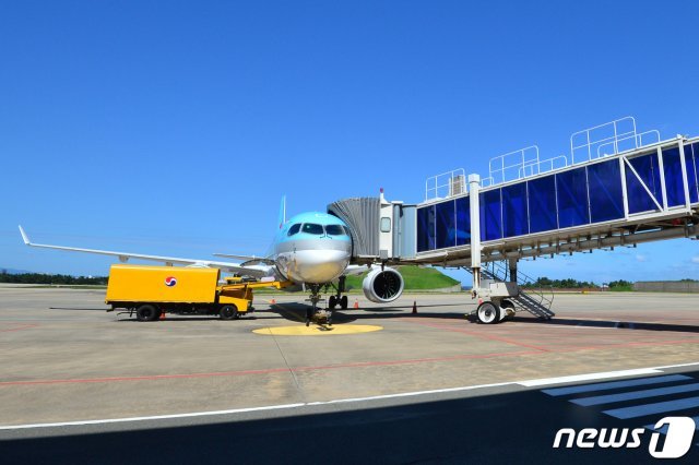 25일 경북 포항시 등에 따르면 오는 26일 비행편을 마지막으로 취항 3년 만에 노선이 폐지된다. 포항공항에 대기 중인 대한항공 비행기.(뉴스1DB)© News1