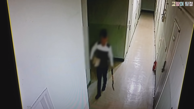 사진=유튜브 채널 ‘고양이탐정TV’ 갈무리