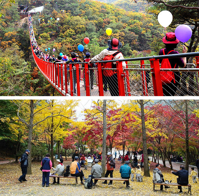 파주시 감악산 출렁다리(위 사진)와 동두천시 소요산(아래 사진)을 찾은 관광객들이 단풍을 즐기고 있다. 파주·동두천시 제공